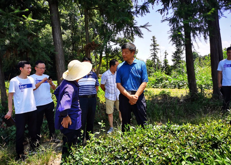 1597976481923310.png image.png