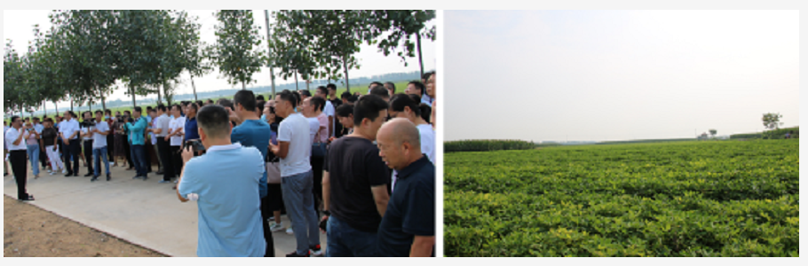 1600043407899138.png image.png