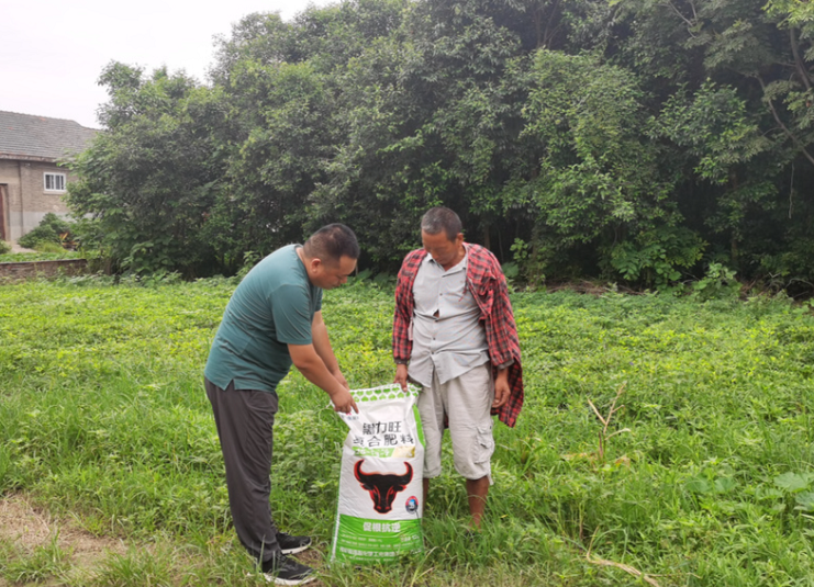 1630718323415183.png image.png